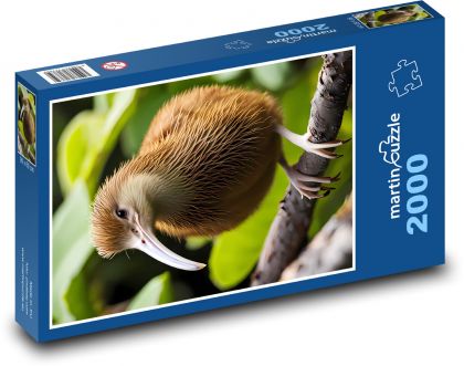 Pták kiwi - Puzzle 2000 dílků, rozměr 90x60 cm
