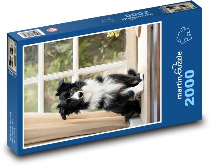 Hund - Border Collie - Puzzle - 2000 Teile