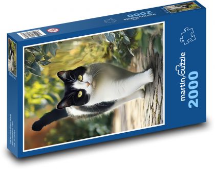 Black and white cat - Puzzle 2000 pieces, size 90x60 cm 