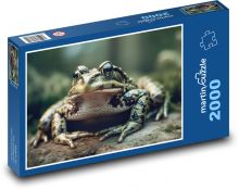 Zelená žaba Puzzle 2000 dielikov - 90 x 60 cm