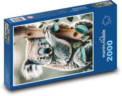 Koala na strome - Puzzle 2000 dielikov, rozmer 90x60 cm 