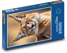 Karakal - kočka Puzzle 2000 dílků - 90 x 60 cm