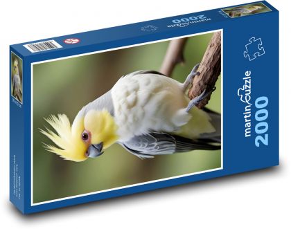 Crested Corela - Puzzle 2000 dielikov, rozmer 90x60 cm 