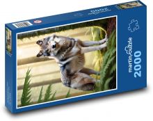 Der Wolf im Wald Puzzle 2000 Teile - 90 x 60 cm