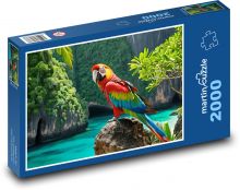Papagei in der Natur Puzzle 2000 Teile - 90 x 60 cm