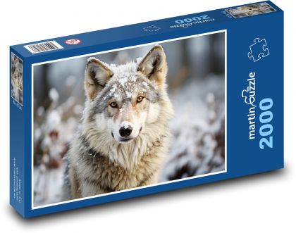 Snežný vlk - Puzzle 2000 dielikov, rozmer 90x60 cm 
