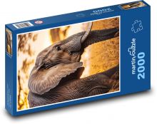 Slon Puzzle 2000 dielikov - 90 x 60 cm