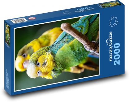 Andulky - Puzzle 2000 dielikov, rozmer 90x60 cm 