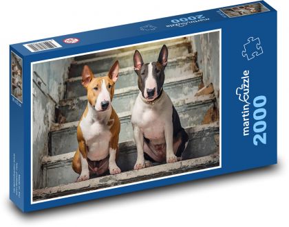 Býčí teriér - pes - Puzzle 2000 dielikov, rozmer 90x60 cm 
