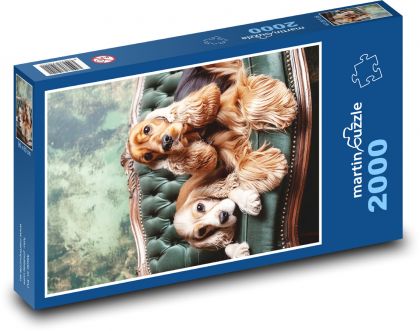 Kokršpaněl - pes - Puzzle 2000 dílků, rozměr 90x60 cm
