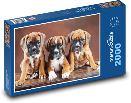 Šteniatka boxerov - psy - Puzzle 2000 dielikov, rozmer 90x60 cm 