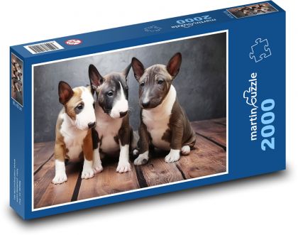 Štěňata - psi - puzzle 2000 dílků