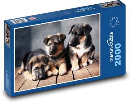 German Shepherd - Puppies - Puzzle 2000 pieces, size 90x60 cm 