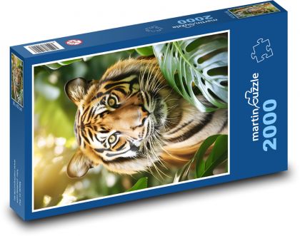 Tygr fantasy - puzzle 2000 dílků