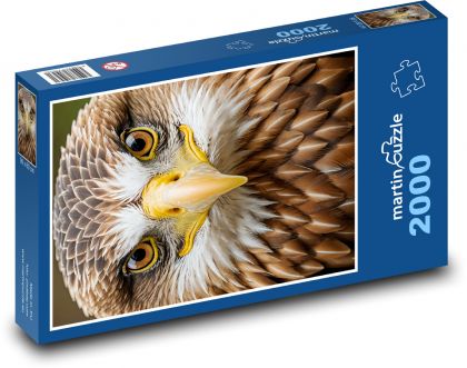 Orel fantasy - puzzle 2000 dílků