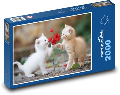 Cats for Valentine´s Day - Puzzle 2000 pieces, size 90x60 cm 