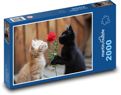 Roztomilé mačky - Puzzle 2000 dielikov, rozmer 90x60 cm 