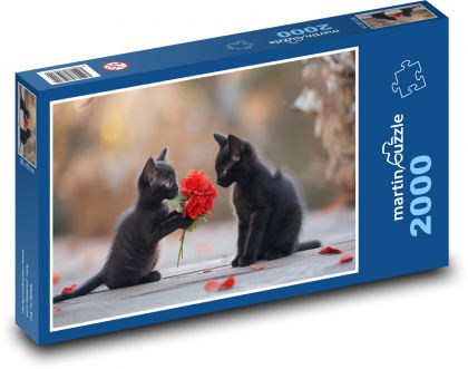 Roztomilé čierne mačiatka - Puzzle 2000 dielikov, rozmer 90x60 cm 
