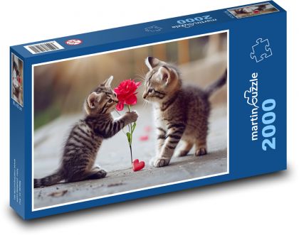 Valentínsky darček - Puzzle 2000 dielikov, rozmer 90x60 cm 