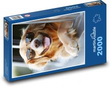 Golden retriever in glasses Puzzle 2000 pieces - 90 x 60 cm