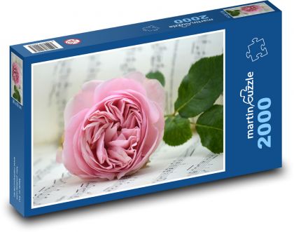 Ružová ruža - Puzzle 2000 dielikov, rozmer 90x60 cm 