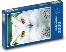 Sowa biała Puzzle 2000 elementów - 90x60 cm