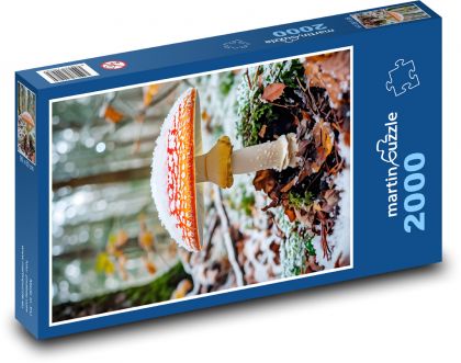 Muchomůrka v zime - Puzzle 2000 dielikov, rozmer 90x60 cm 