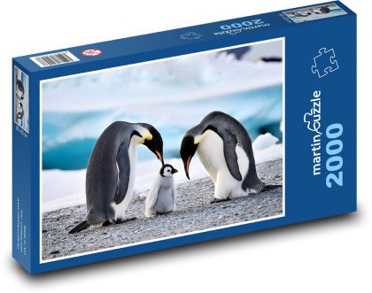 Pinguine - Familie - Puzzle - 2000 Teile
