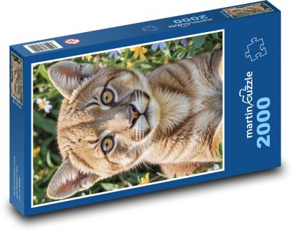 Cougar - mačka - Puzzle 2000 dielikov, rozmer 90x60 cm 