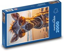 Zebra v brýlích Puzzle 2000 dílků - 90 x 60 cm