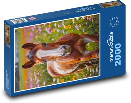 Poník - kôň - Puzzle 2000 dielikov, rozmer 90x60 cm 