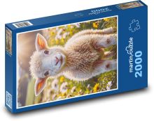 Ovce Puzzle 2000 - 90x60 cm