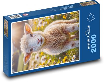 Owce - Puzzle 2000 elementów, rozmiar 90x60 cm