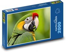 Papagáj - vták Puzzle 2000 dielikov - 90 x 60 cm