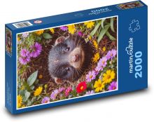 Krtek Puzzle 2000 - 90x60 cm