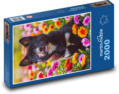 Pes - jarné kvety - Puzzle 2000 dielikov, rozmer 90x60 cm 