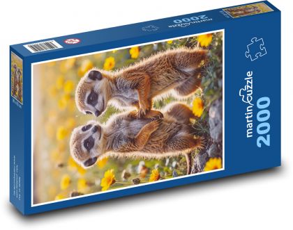 Erdmännchen in Blumen - Puzzle - 2000 Teile