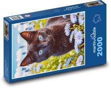 Czarny kot Puzzle 2000 elementów - 90x60 cm
