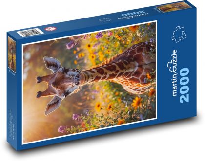 Žeriav - Puzzle 2000 dielikov, rozmer 90x60 cm 