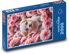 Pes na lúke Puzzle 2000 dielikov - 90 x 60 cm
