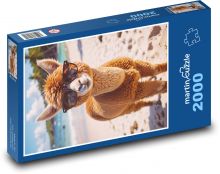 Alpaca in glasses Puzzle 2000 pieces - 90 x 60 cm