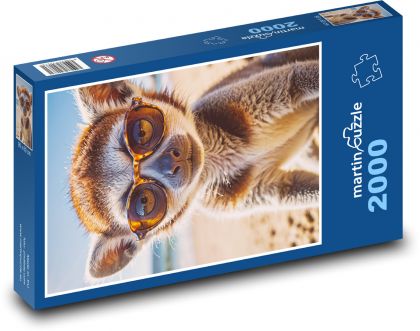 Lemur w okularach - Puzzle 2000 elementów, rozmiar 90x60 cm