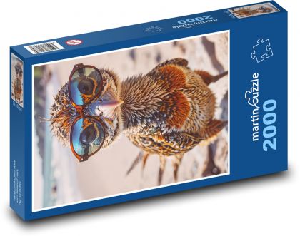 Ptak w okularach - Puzzle 2000 elementów, rozmiar 90x60 cm