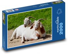 Domáce kozy Puzzle 2000 dielikov - 90 x 60 cm