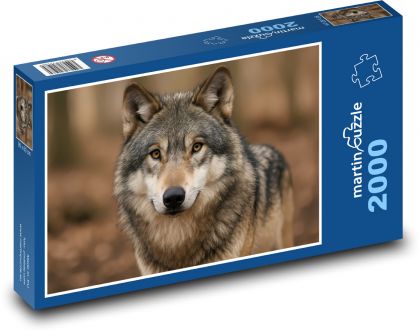 Vlk - Puzzle 2000 dílků, rozměr 90x60 cm