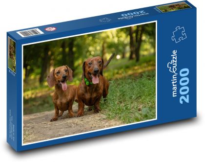 Psy - jamniki - Puzzle 2000 elementów, rozmiar 90x60 cm