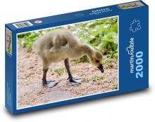 Canada Goose Puzzle 2000 pieces - 90 x 60 cm