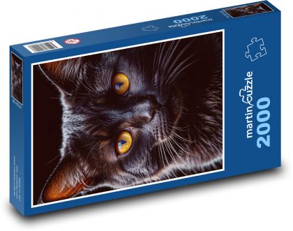 Czarny kot - Puzzle 2000 elementów, rozmiar 90x60 cm