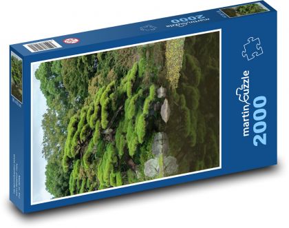 Black pine - Puzzle 2000 pieces, size 90x60 cm 