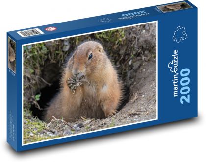 Sysel - puzzle 2000 dílků